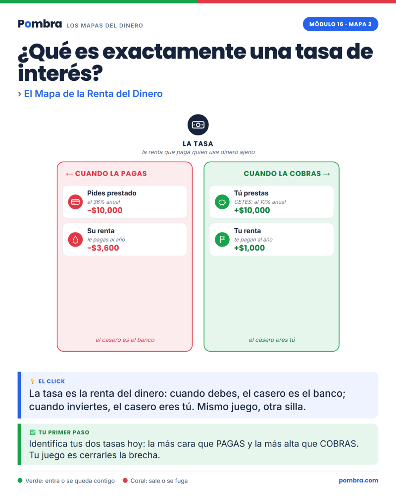 Un término difícil (interés compuesto) explicado con un dibujo simple al lado.